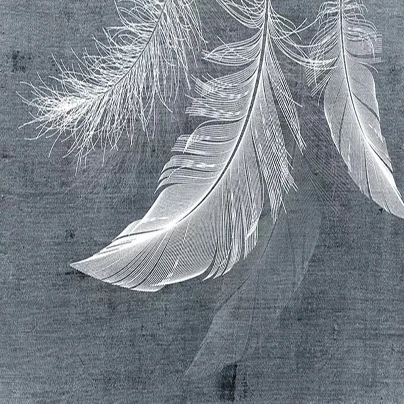 Modern Simple Feather Photo Mu - Home Textiles Photos 评论和价格